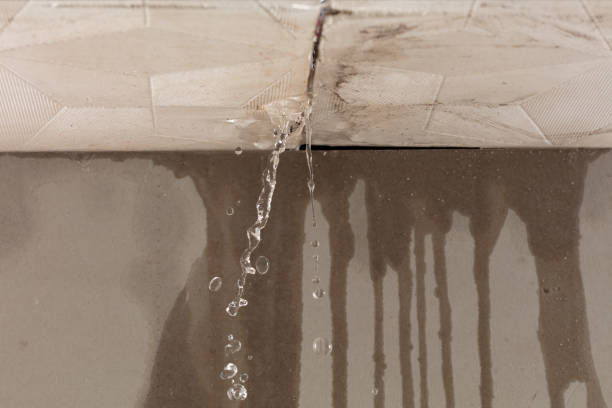 Professional Sewage Cleanup technician working in South Saint Paul, MN